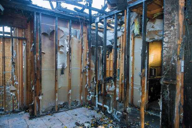 Professional Fire Damage Repair technician working in Black Diamond, FL