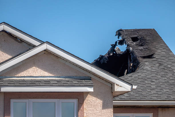 Top rated local Fire Damage Repair specialists in Black Diamond, FL